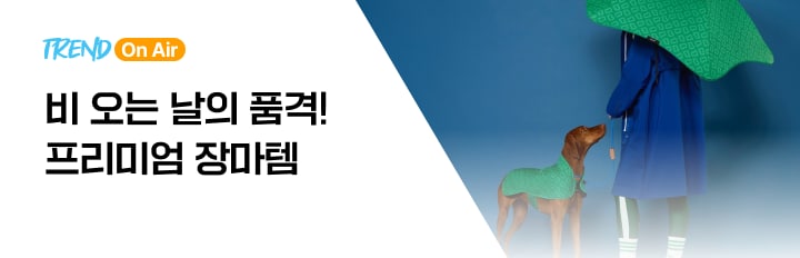 프리미엄 장마템
