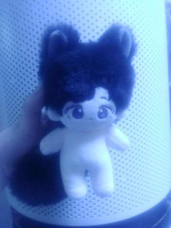 이미지