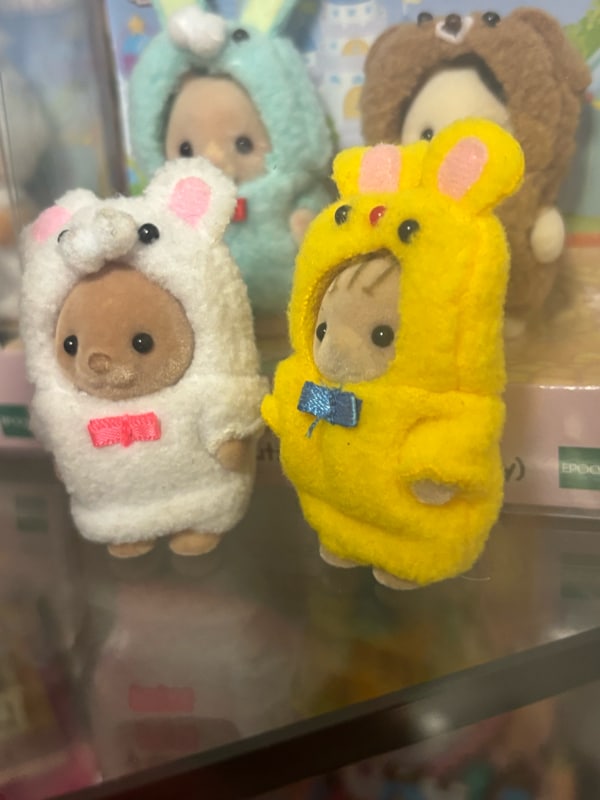 이미지