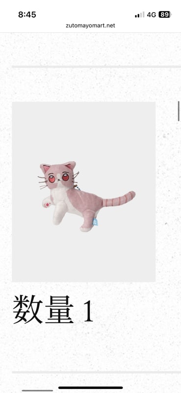 SHOGA_ST mini NUI 2 (Hippocampal Pain