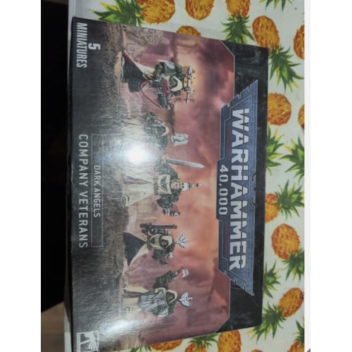 Dark Angels Company Veterans