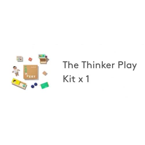The Thinker Play Kit