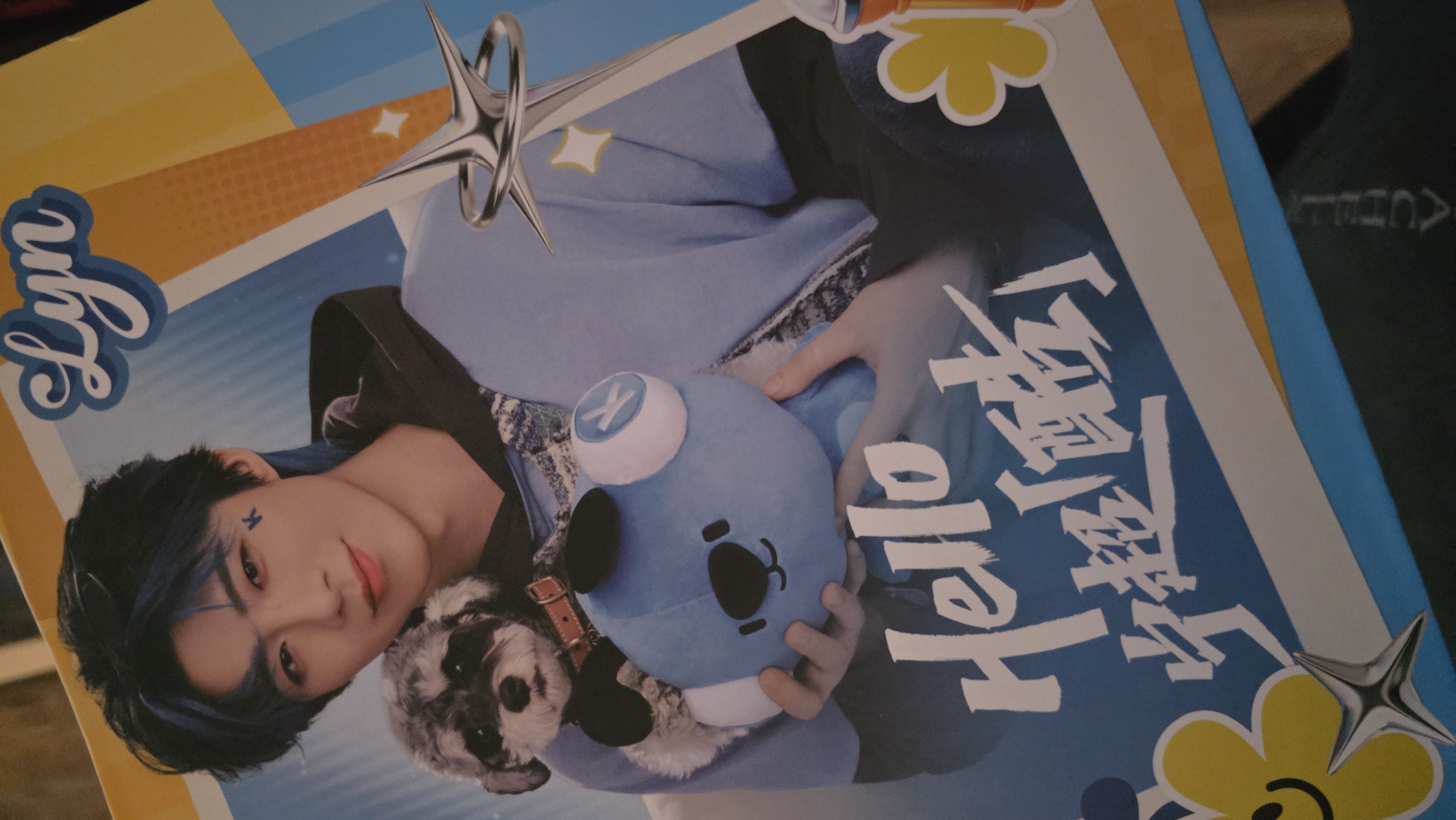 이미지