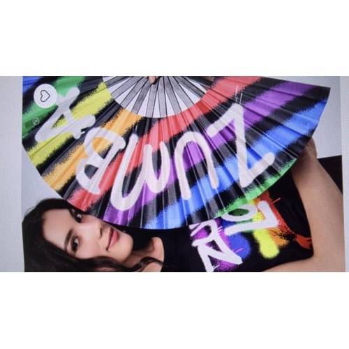 Pride Fan