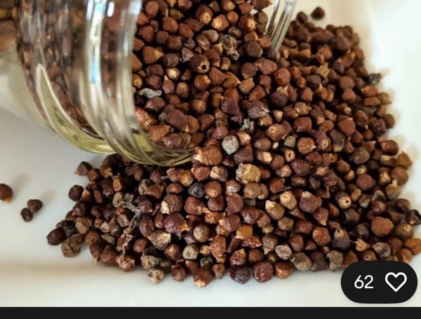 Alligator Pepper - Grain Of Paradise Seeds 2 oz