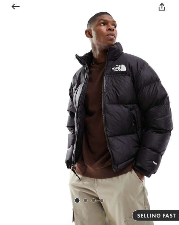 The northface 1996 retro Nuptse down puffer jacket