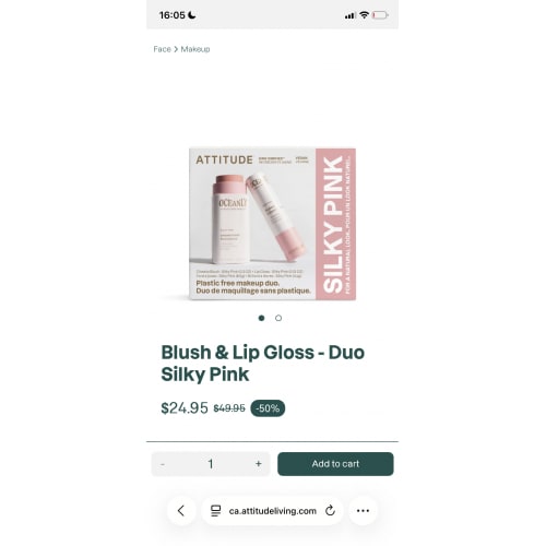 Lip gloss and blusher set