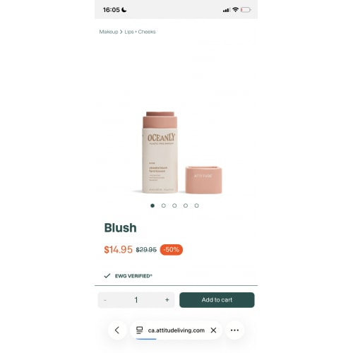 Makeup Blusher
