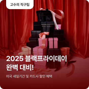 2025 블랙프라이데이