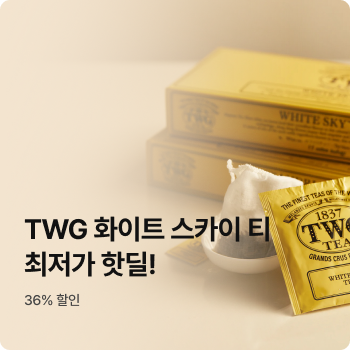2025 twg 기획전
