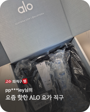 고수의직구템 - 알로요가