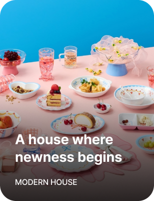MODERN HOUS