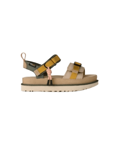 어그) 메모리얼데이 세일!! 골든스타 와일드우드 $99.99