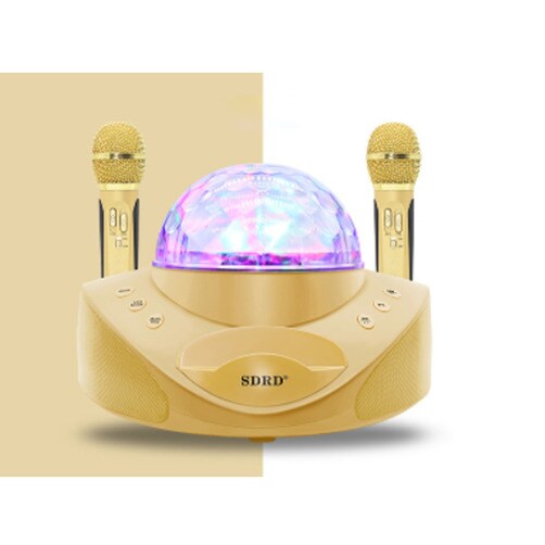 SD308 노래방기기 듀얼마이크 조명기능 탑재 SDRD 가정용 블루투스 마이크 - 골드