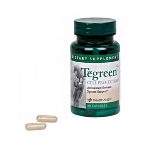 비타독일 테일독일 둘다 존재 상품