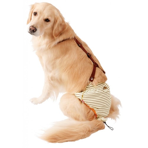 [Petio] 노령견 간호용 기저귀 팬츠 - 3L